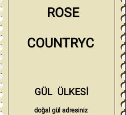 Isparta ve Hong Kong arası dostlukla küresel bir marka çalışması tamamlandı… Rose Counytrc